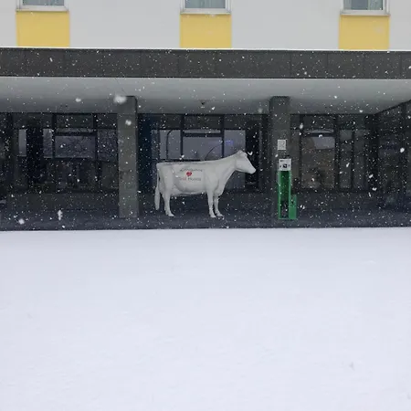 Otel Felix 3*
