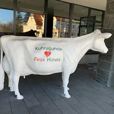Felix Otel 3*